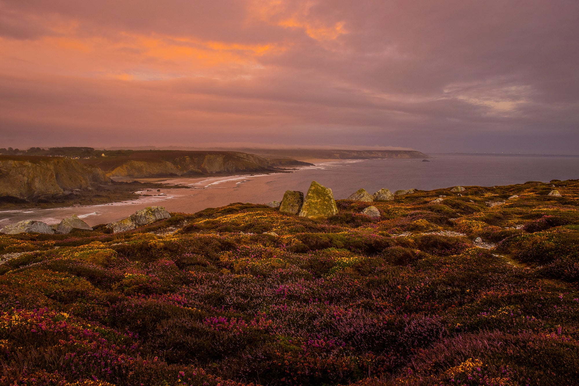 Evening light on the coast of Brittany in Northern France. The colourful heathers and the luminescent clouds and rocks.