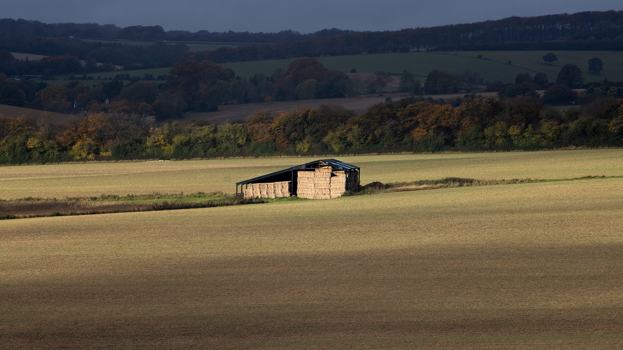 The Golden Barn in morning light - England