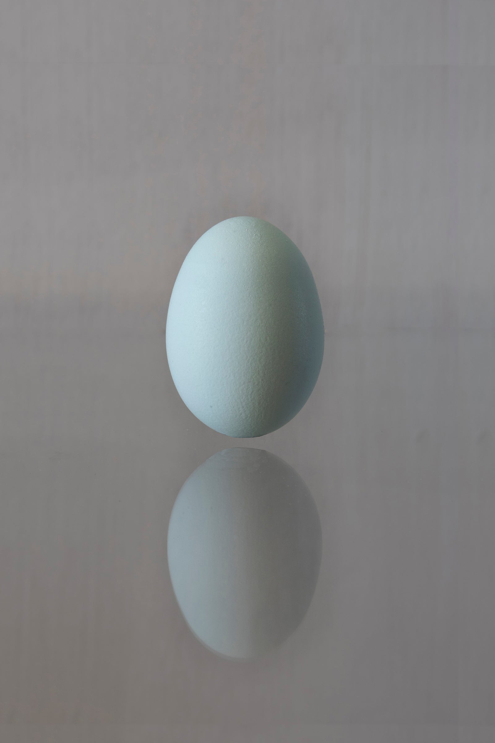 Blue Egg Hovering in Time.