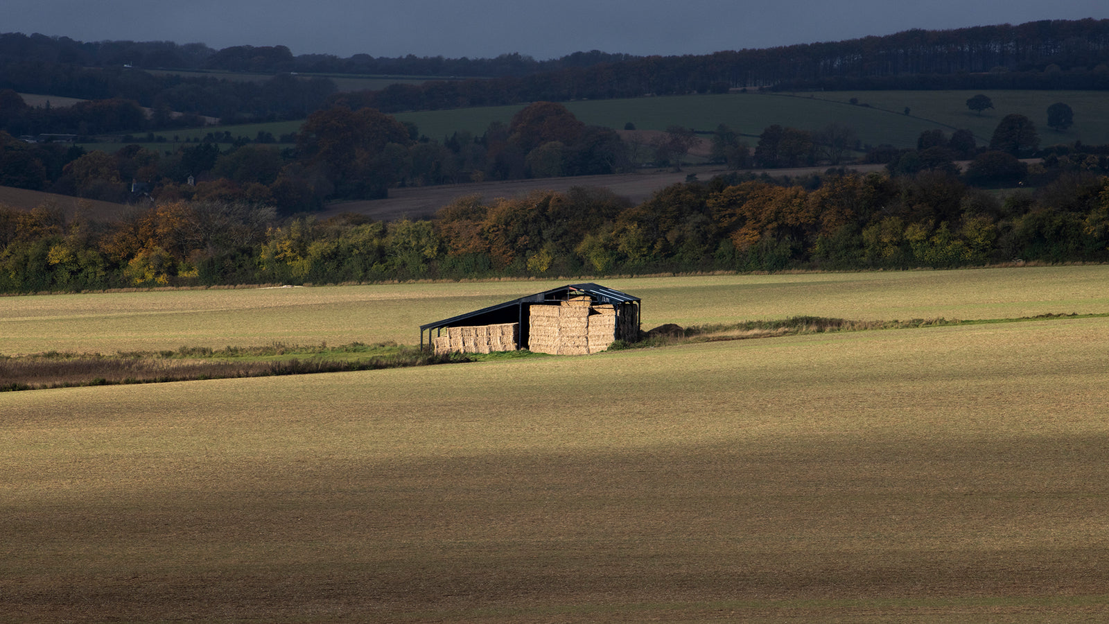 The Golden Barn in morning light - England