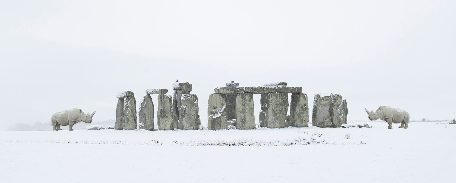 Conservation Matters, Stonehenge and Two Northern White Rhinos