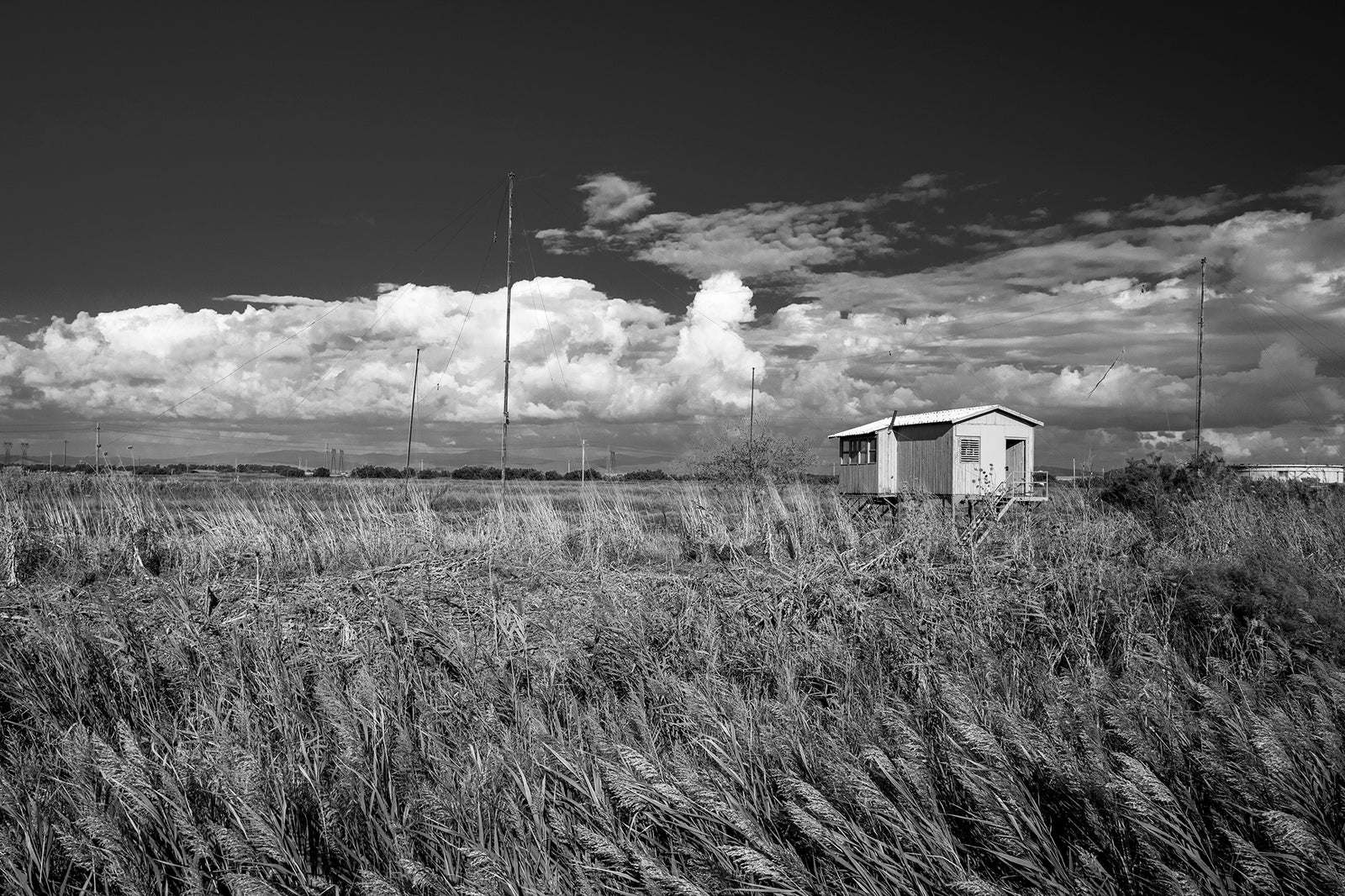 An Italian fishing hut through the waving grasses - Italy